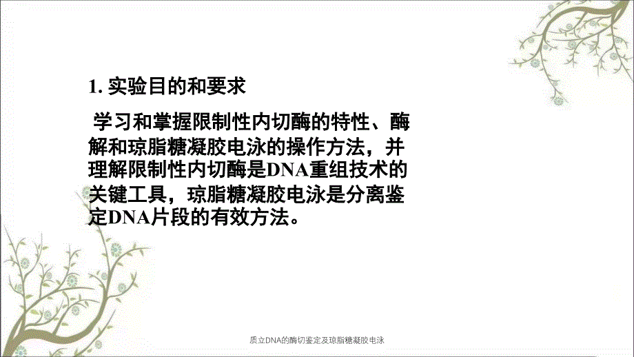 质立DNA的酶切鉴定及琼脂糖凝胶电泳_第2页