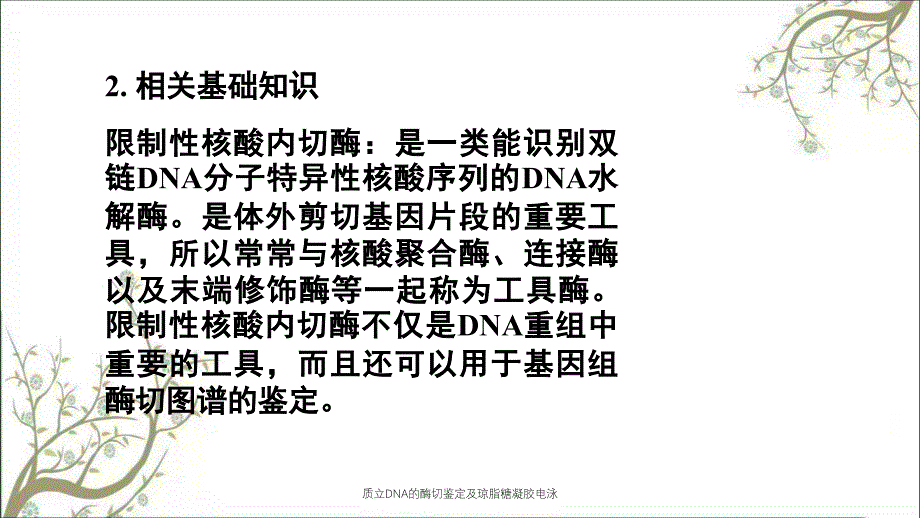 质立DNA的酶切鉴定及琼脂糖凝胶电泳_第3页