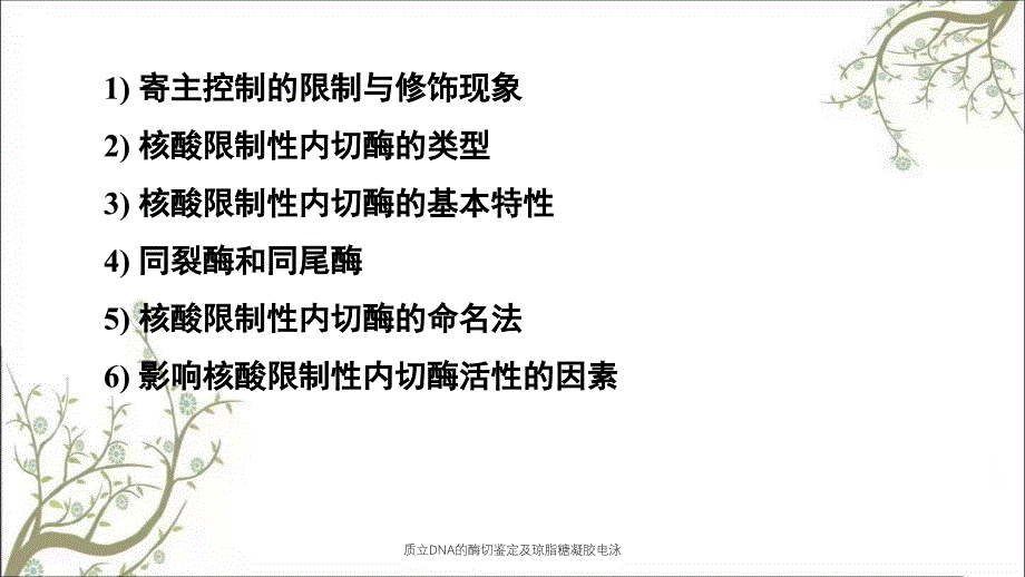 质立DNA的酶切鉴定及琼脂糖凝胶电泳_第4页