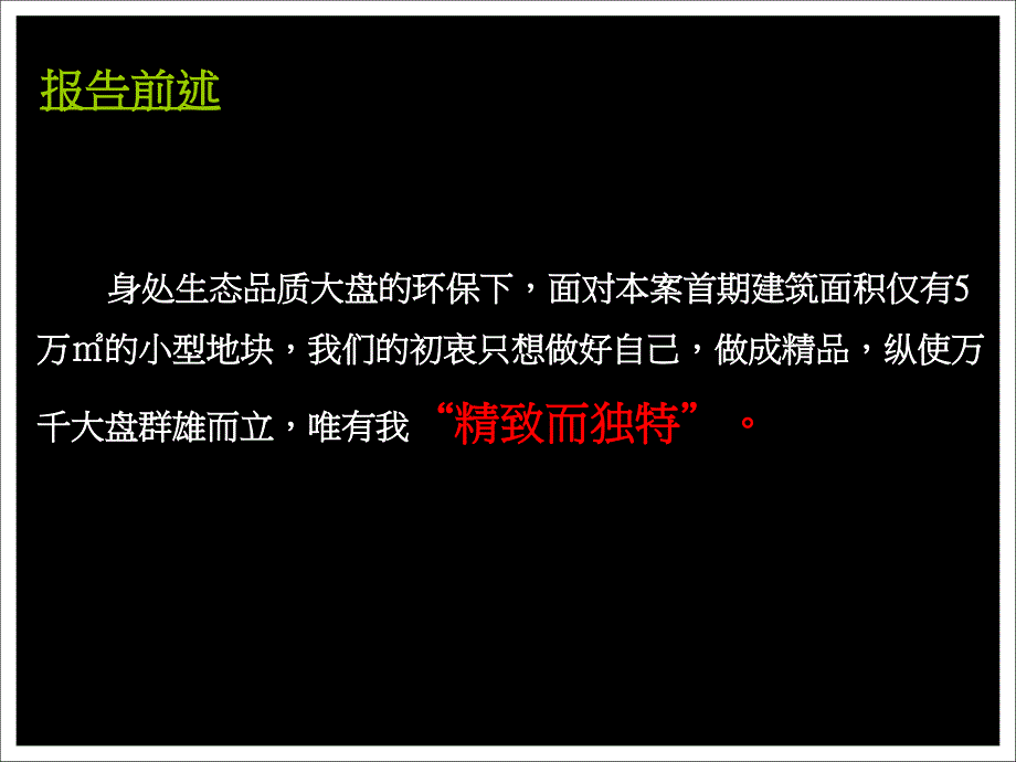 银川市艾依公馆(地块)全程定位营销报告_第2页