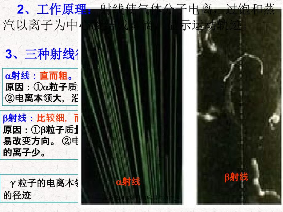 19.4放射性的应用与防护4经典实用_第4页