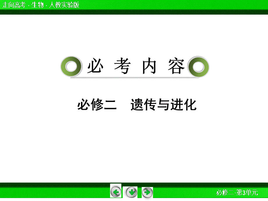 高三生物复习课件2-3-2DNA分子的结构、复制与基因78张_第2页