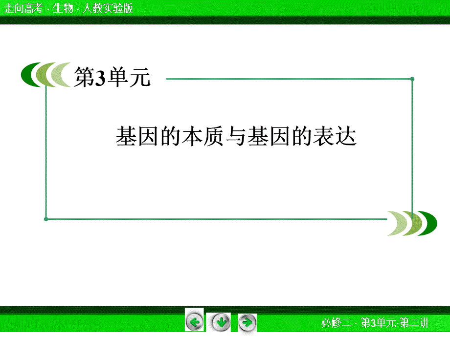 高三生物复习课件2-3-2DNA分子的结构、复制与基因78张_第3页