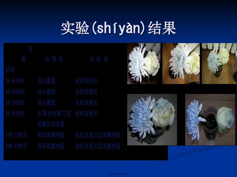 生物创新实验大赛学习教案_第4页