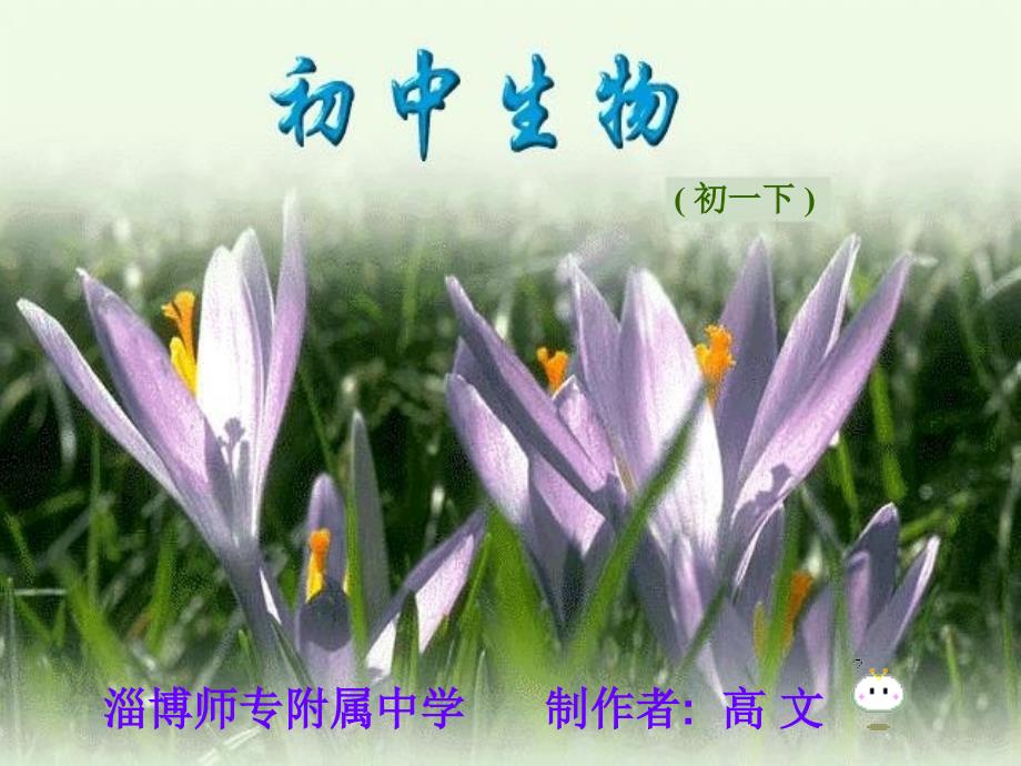 淄博师专附属中学_第1页