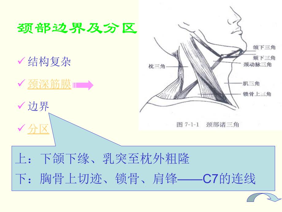 颈部包块PT课件_第2页