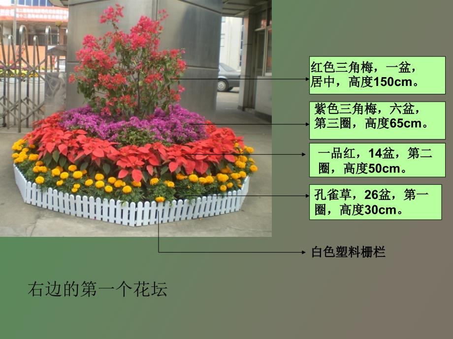 花博会期间街道布景_第4页