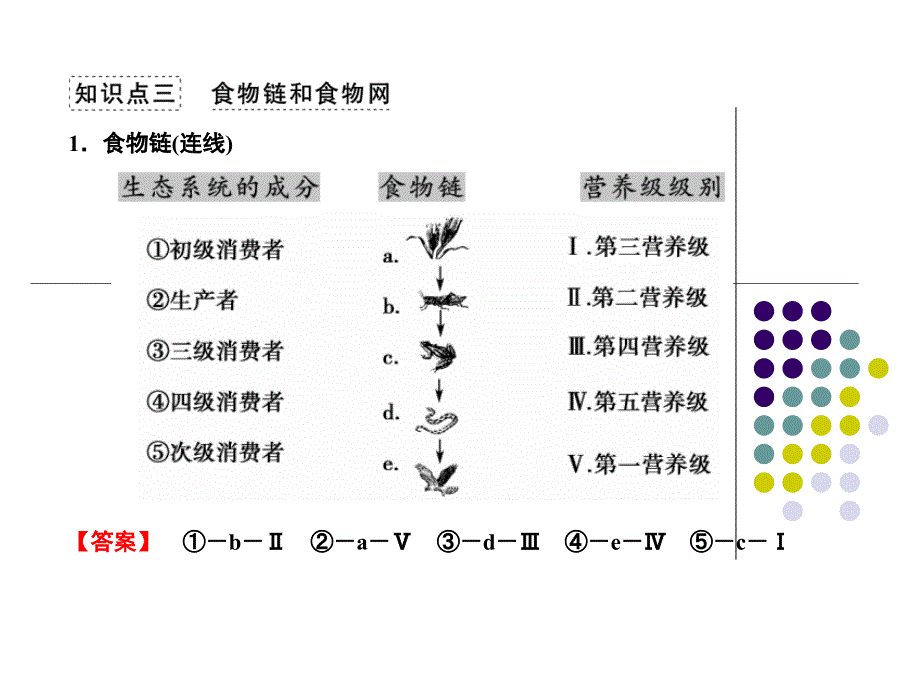 5-1生态系统的组成_第4页