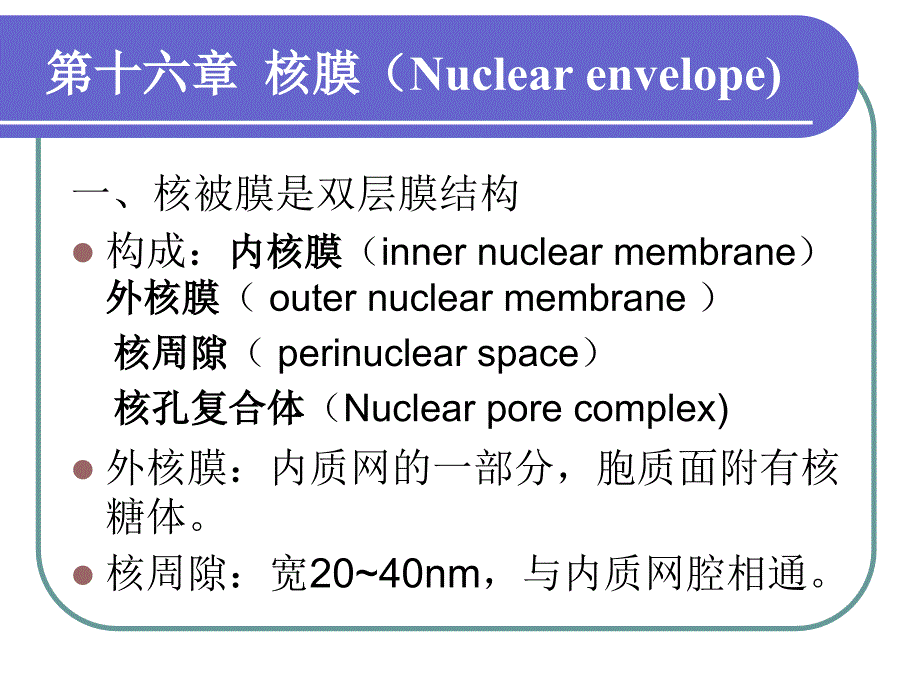 《细胞核与染色质》PPT课件.ppt_第4页