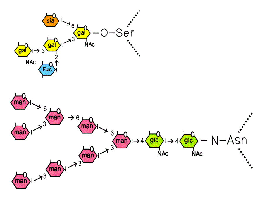 生物化学与分子生物学PPT图片素材ScienceSlide2_第1页