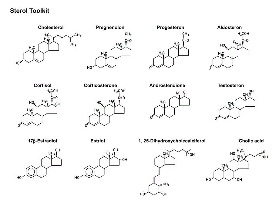 生物化学与分子生物学PPT图片素材ScienceSlide2_第4页