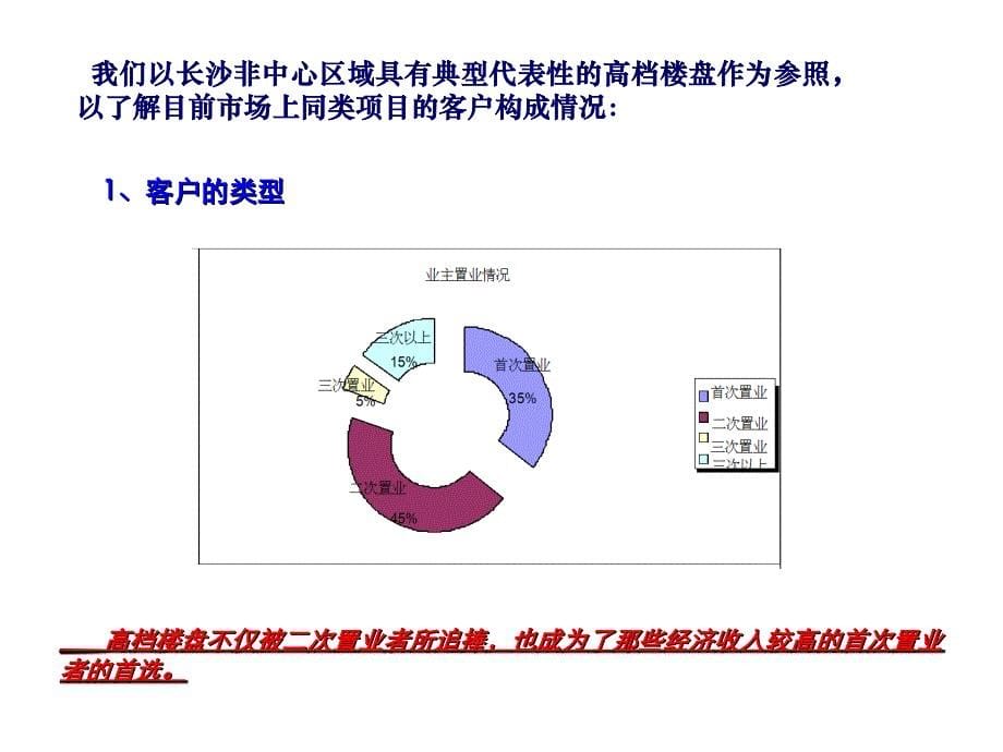 卓越长沙蔚蓝海岸大盘项目营销策划案_第5页