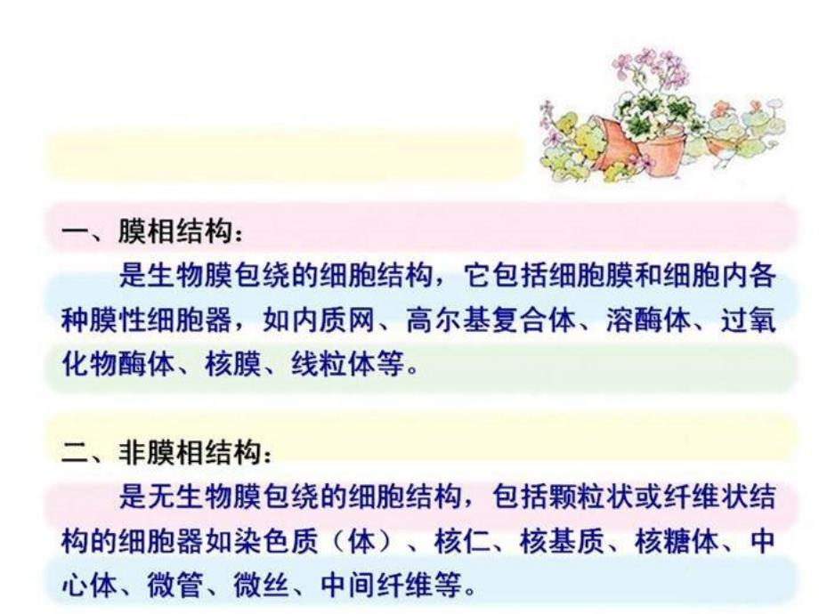 细胞生物学：5-1核糖体_第3页