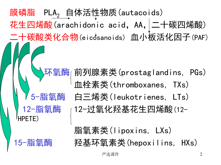 花生四烯酸代谢物及其作用（精制资料）_第2页