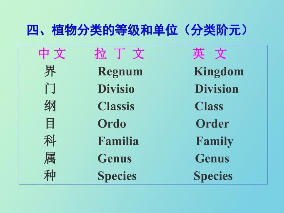 植物的命名与分类阶层系统_第5页