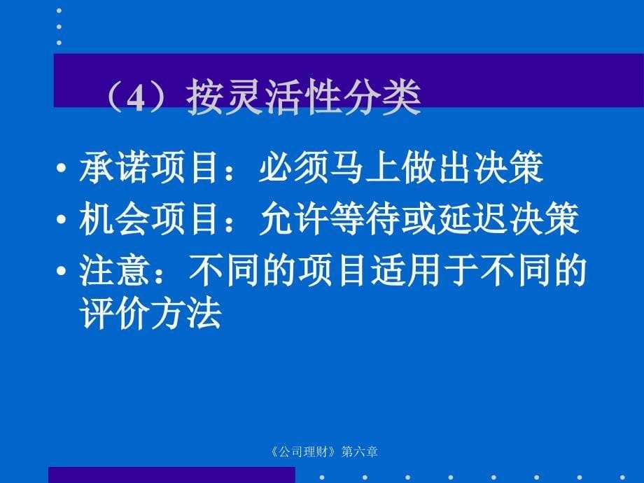 项目现金流的估算_第5页