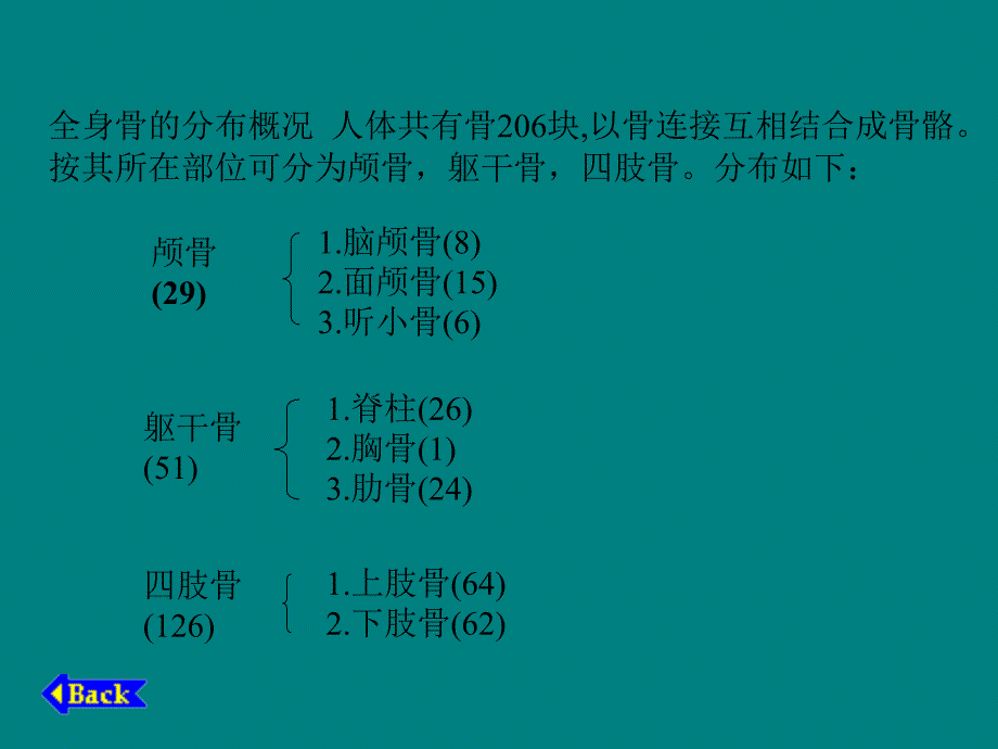 人体骨骼构成图解PPT课件_第3页