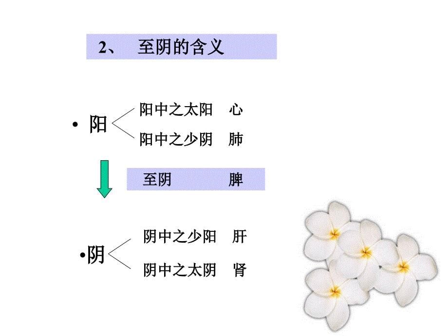 中医学《内经选读》课件-六節藏象_第5页