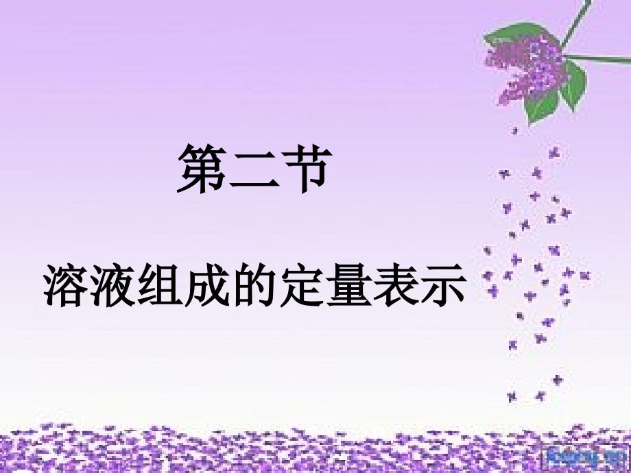 二节溶液组成的定量表示_第2页