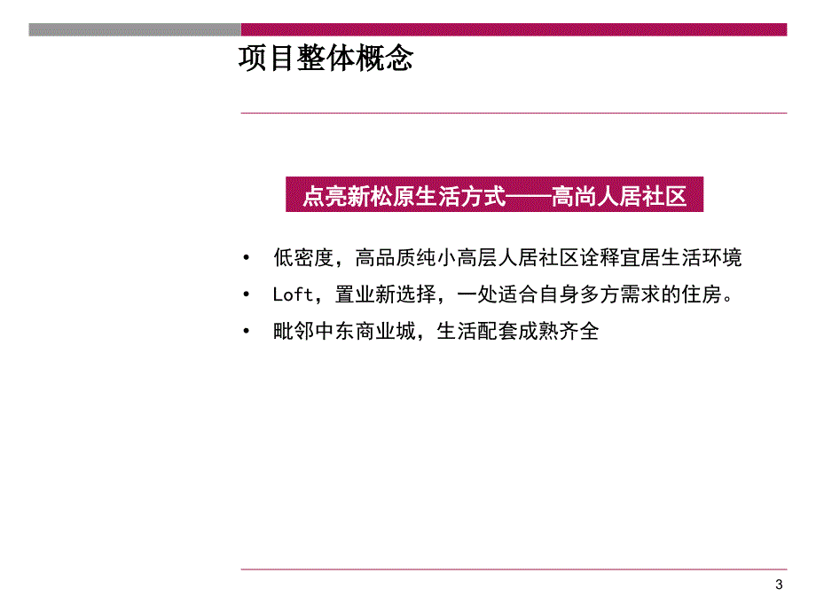 长东润华庭营销策划报告60p_第3页