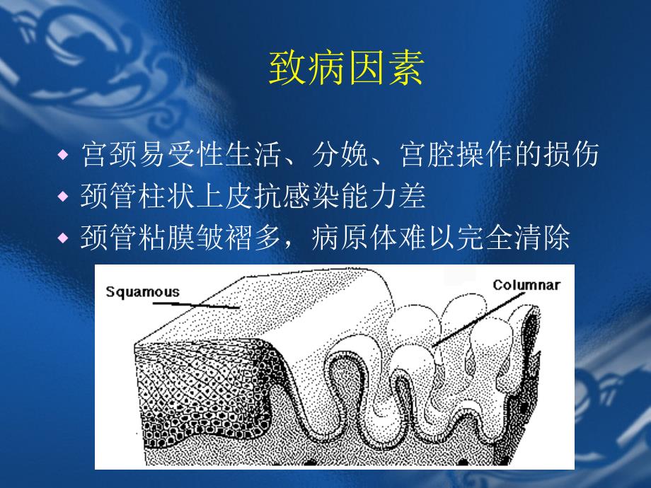 宫颈炎症教学课件幻灯PPT_第4页