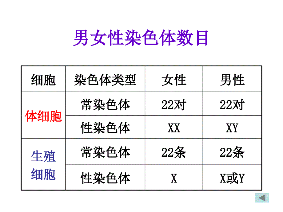 八年级下册第二章_生物的遗传和变异复习_第4页