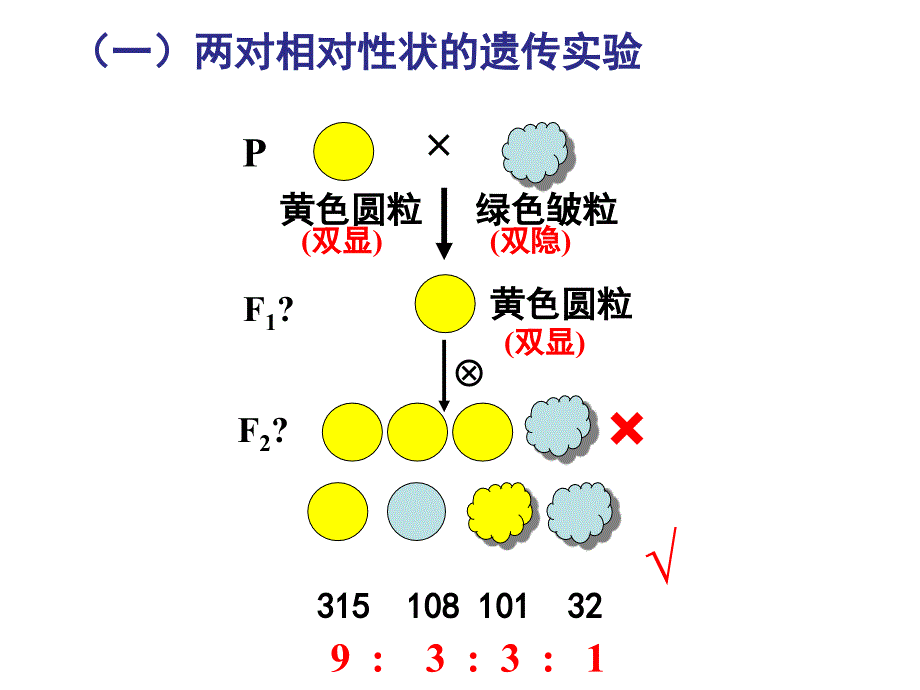 F2的遗传因子组成基因型-牡丹江一中课件_第3页