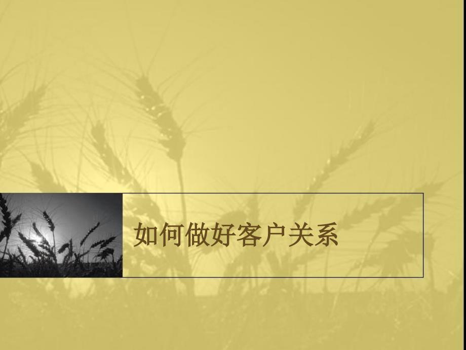 《如何做好客户关系》PPT课件.ppt