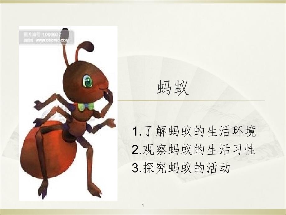 科学蚂蚁PPT精品文档_第1页