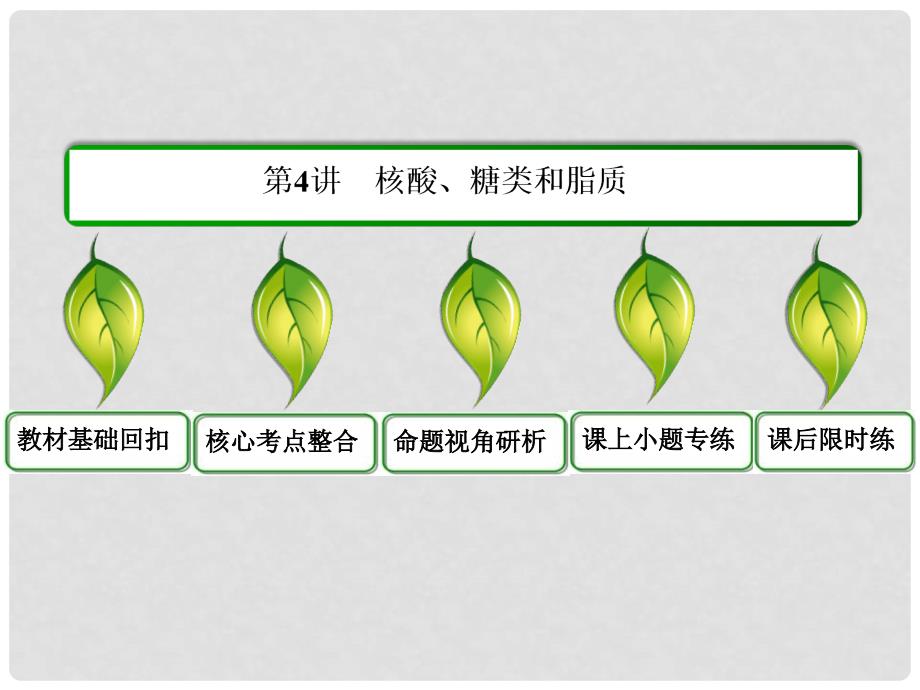 高考生物一轮复习 （基础回扣+考点整合+命题研析+课内外训练） 14 核酸、糖类和脂质课件（含详解）新人教版必修1_第3页