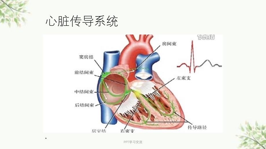 常见病心电图表现课件_第3页