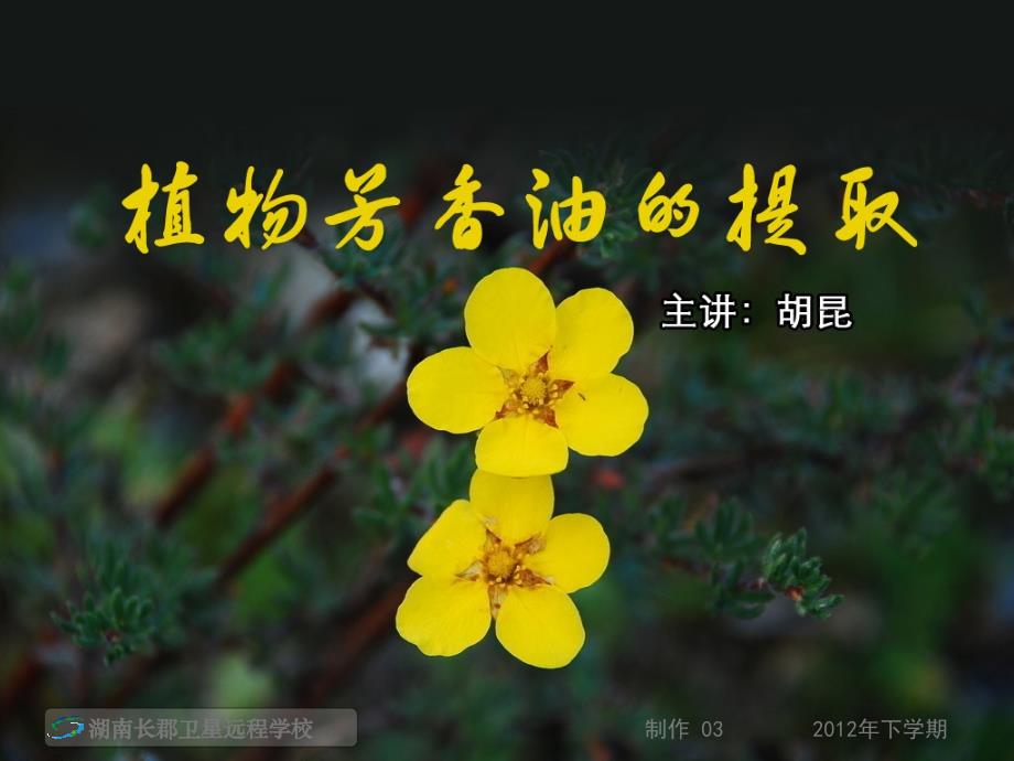 《植物芳香油的提取复习专题》(课件)_第1页