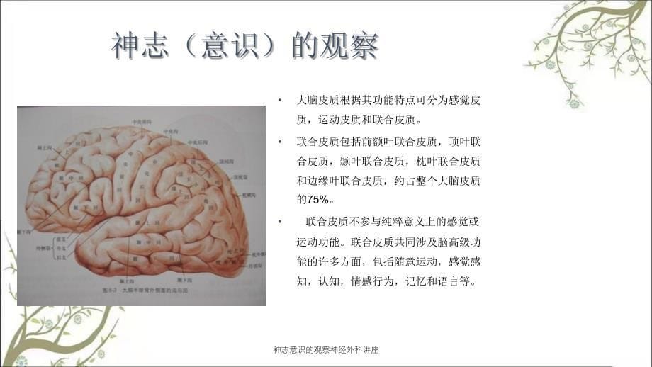 神志意识的观察神经外科讲座_第5页