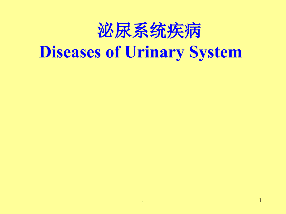 病理学泌尿系统疾病ppt课件ppt演示课件_第1页