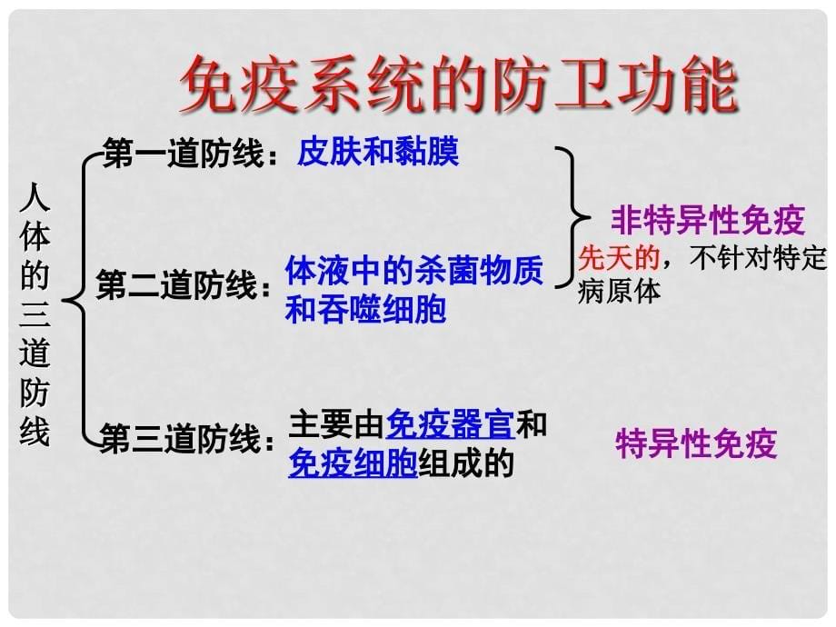 高中生物 第二章 动物和人体生命活动的调节 第4节 免疫调节课件2 新人教版必修3_第5页