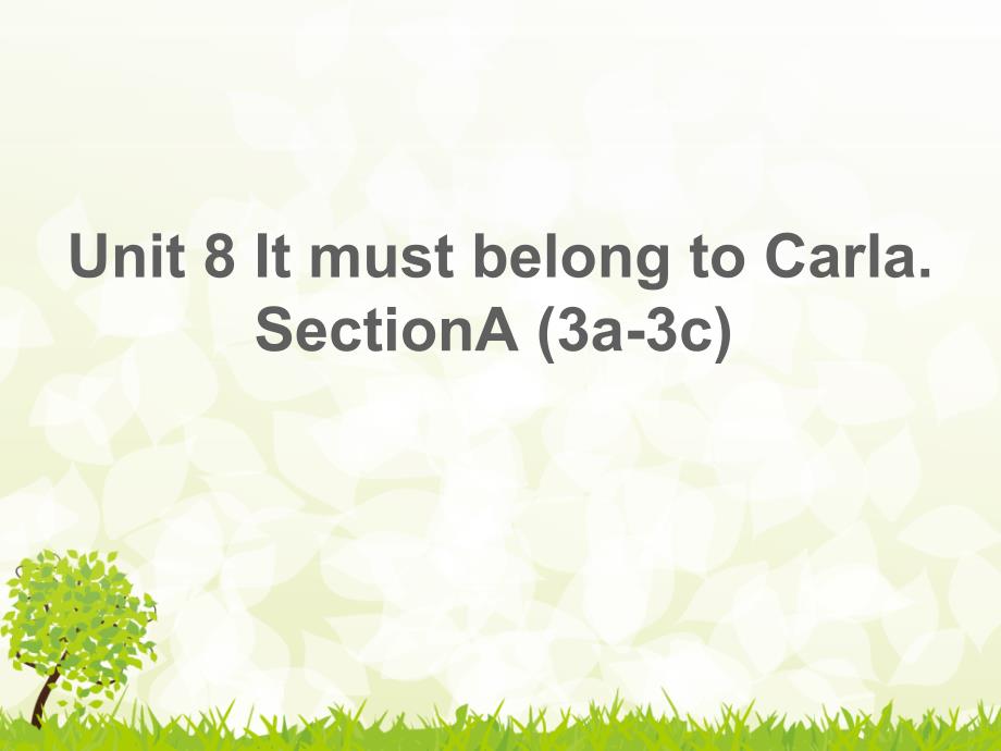 ItmustbelongtoCarlaSectionA3a3c_第1页