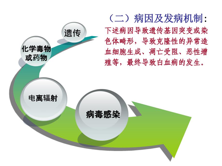 内科护理学急性白血病_第4页