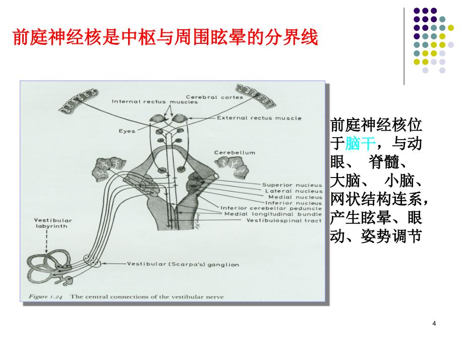 医学课件常见耳源性眩晕的诊断与治疗_第4页