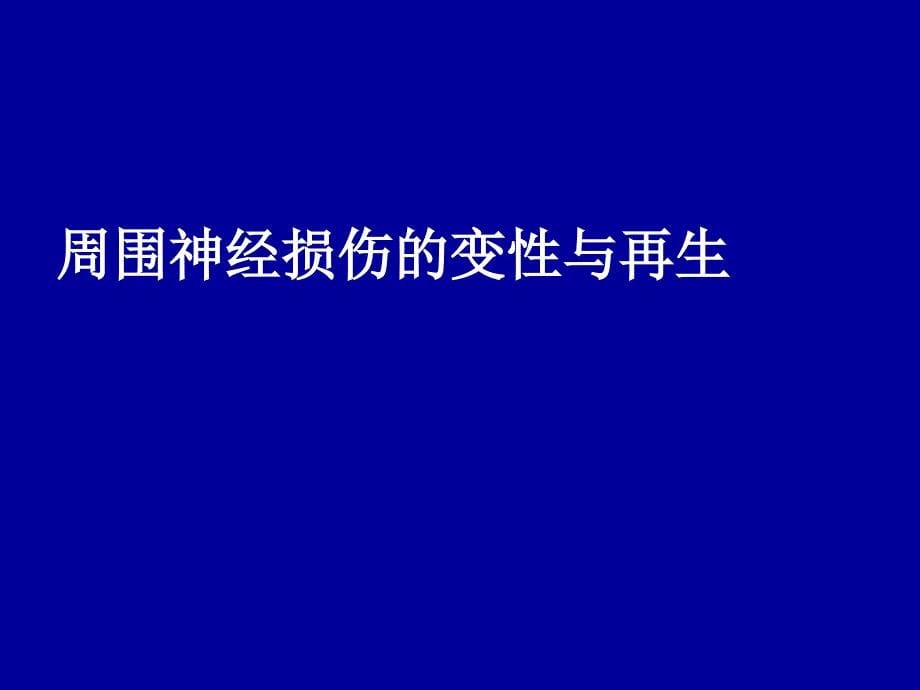 周神经损伤及诊断治疗新进展PPT课件_第5页