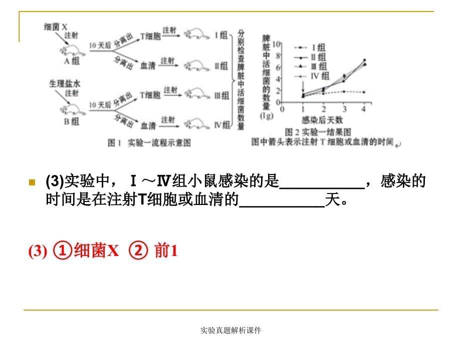 实验真题解析课件_第5页