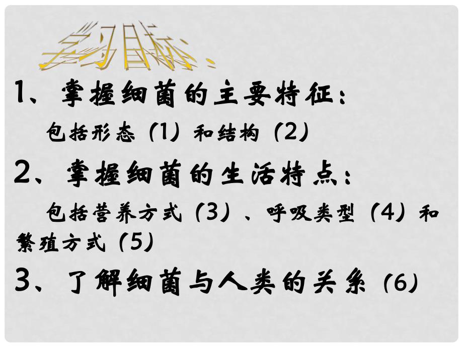 八年级生物上册 5.1.1 细菌课件 （新版）冀教版_第2页