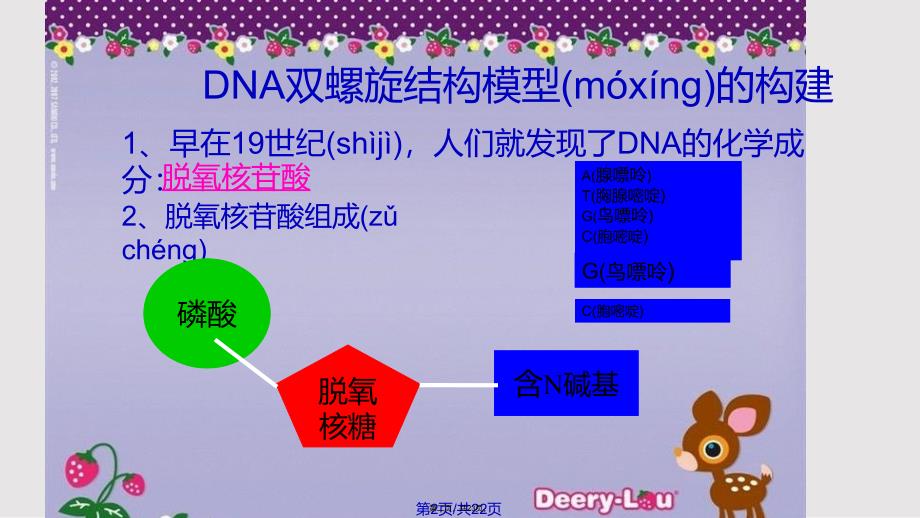 DNA分子的结构MicrosoftPowerPoint演示文稿实用教案_第2页