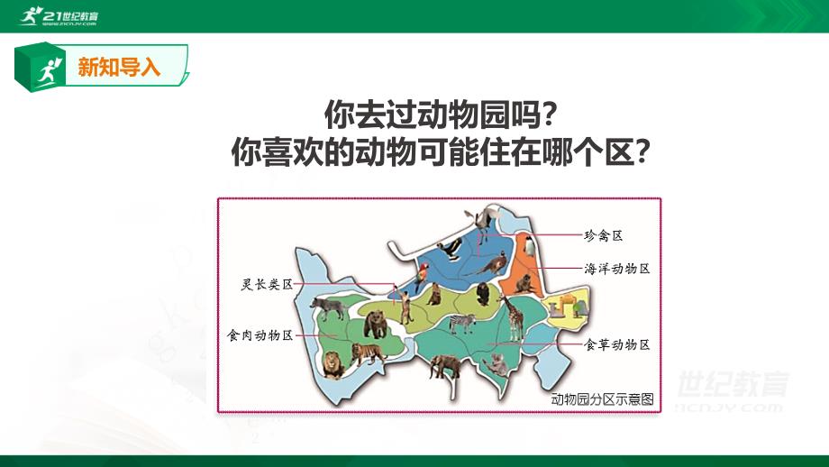 11给动物分类课件_第3页