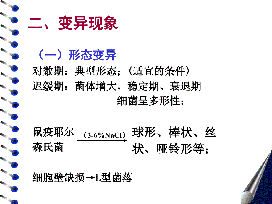 细菌的遗传和变异课件_第4页