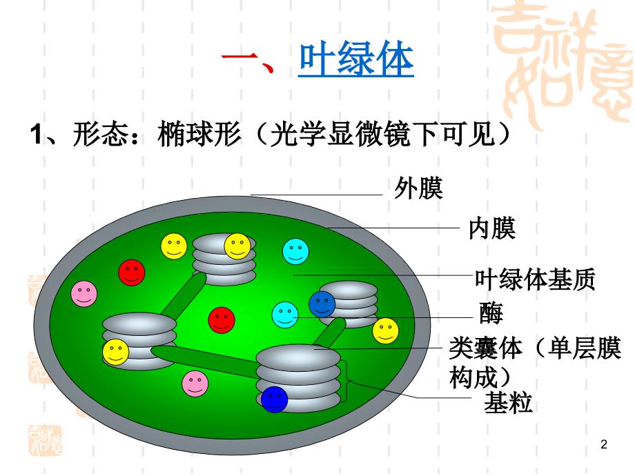 叶绿体及其色素优秀课件_第2页