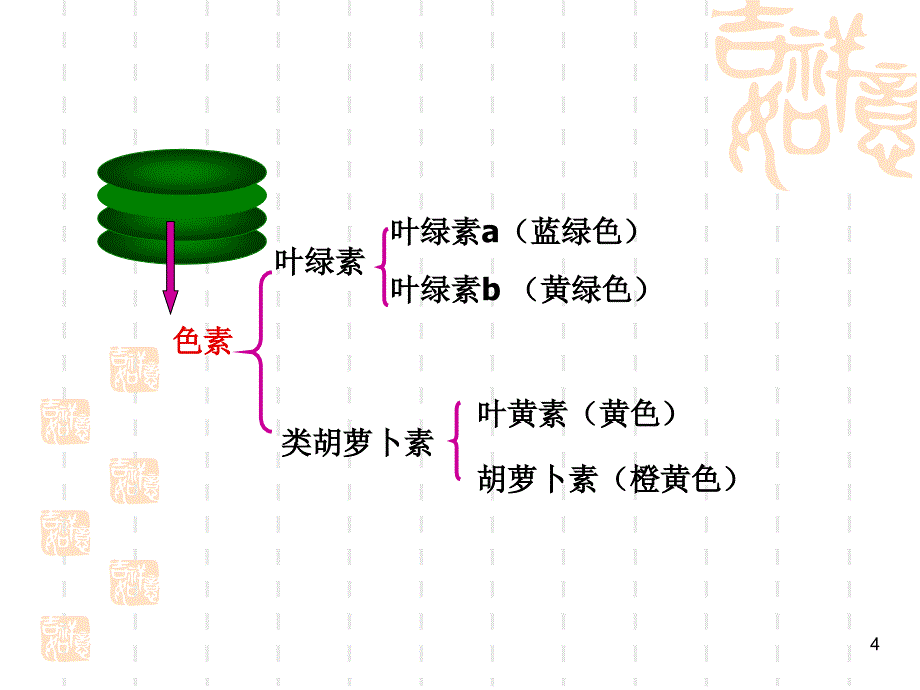 叶绿体及其色素优秀课件_第4页