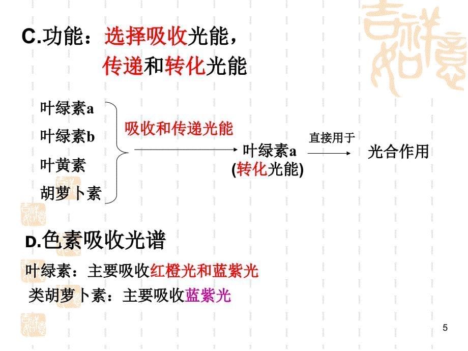 叶绿体及其色素优秀课件_第5页