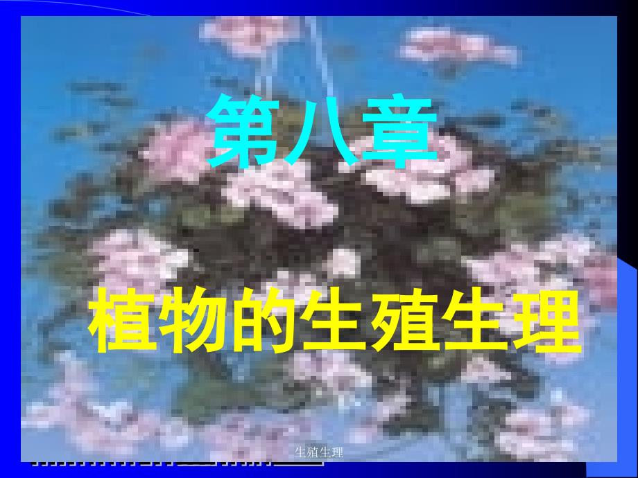 生殖生理课件_第1页