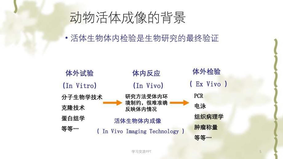 动物活体成像技术ppt课件_第5页