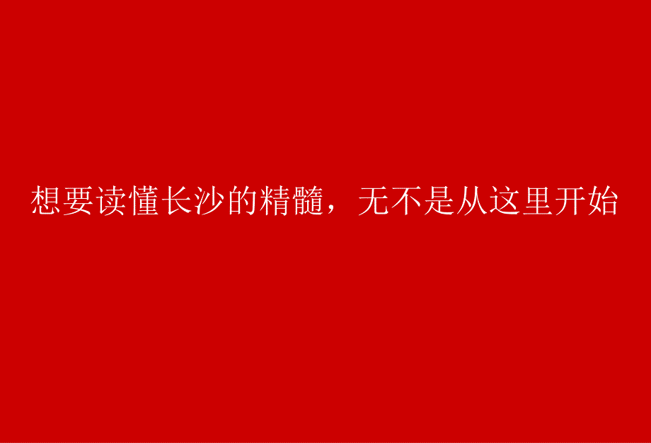 华远&#183;长沙金外滩项目策略推广提案73P_第4页